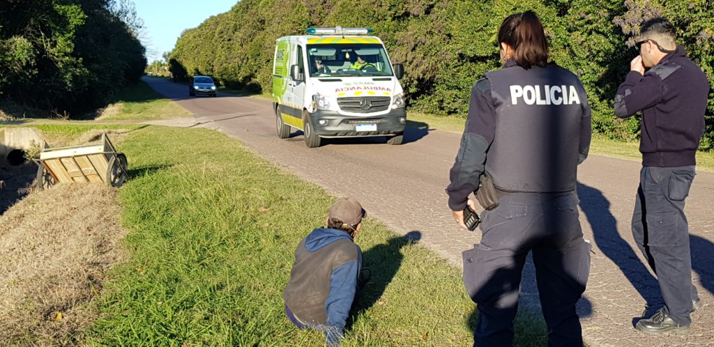 El Diario de San Pedro | Noticias locales y regionales