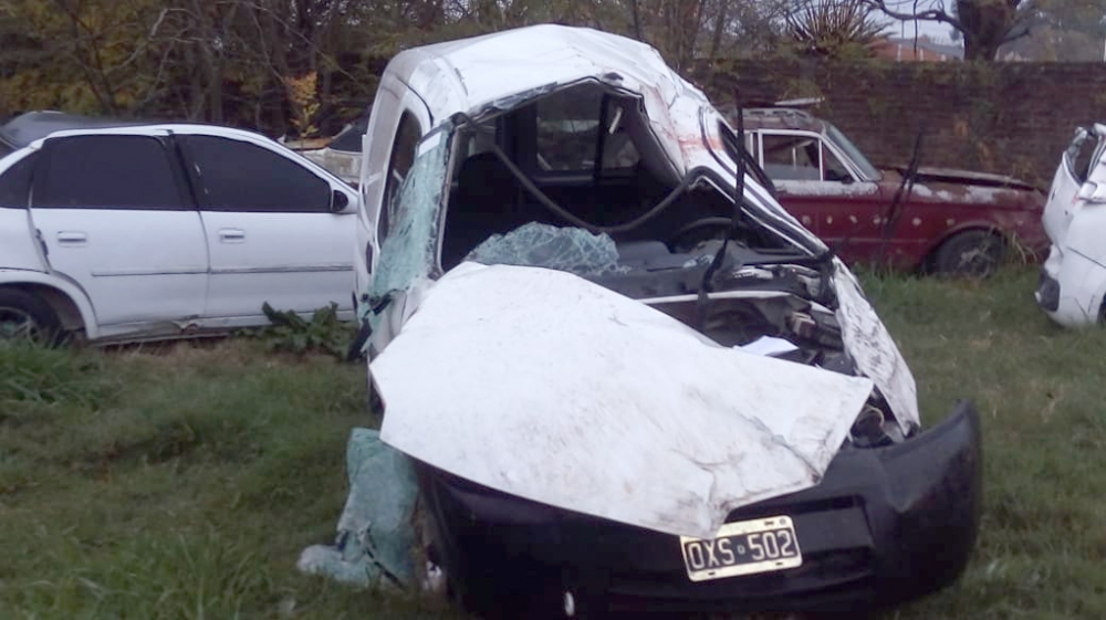 El Diario de San Pedro | Noticias locales y regionales