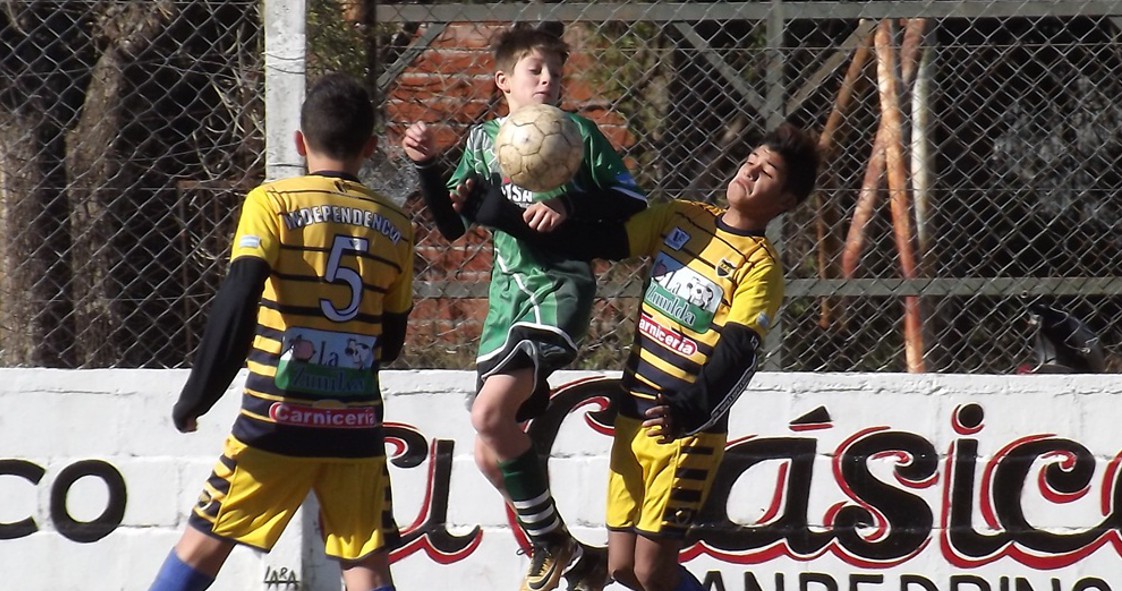 El Diario de San Pedro | Noticias locales y regionales