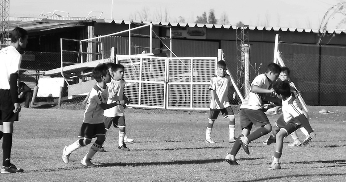 El Diario de San Pedro | Noticias locales y regionales