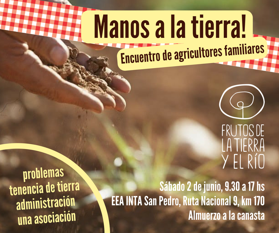 El Diario de San Pedro | Noticias locales y regionales