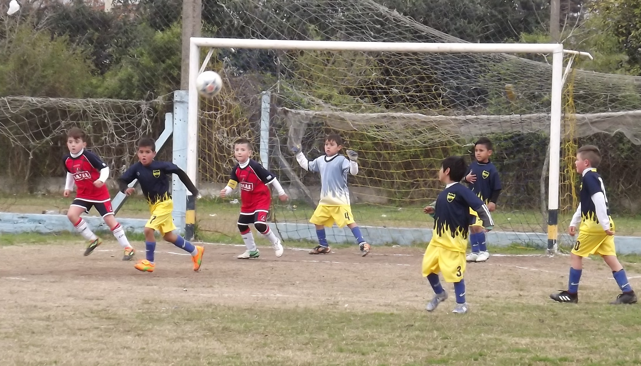 El Diario de San Pedro | Noticias locales y regionales