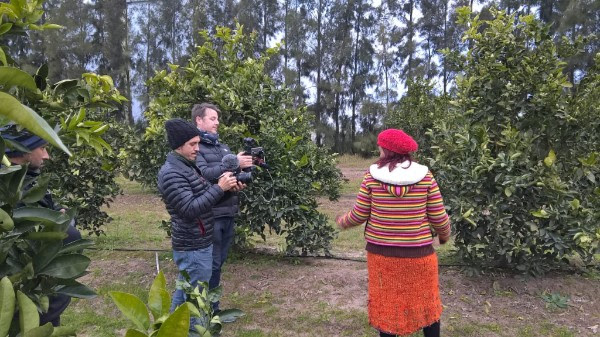 El Diario de San Pedro | Noticias locales y regionales