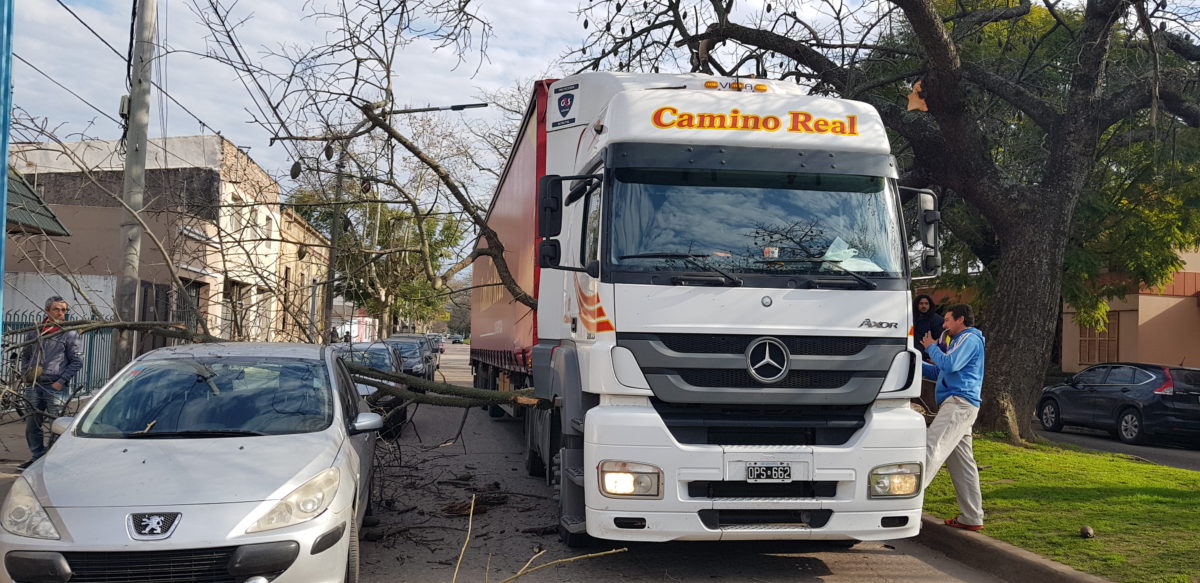 El Diario de San Pedro | Noticias locales y regionales