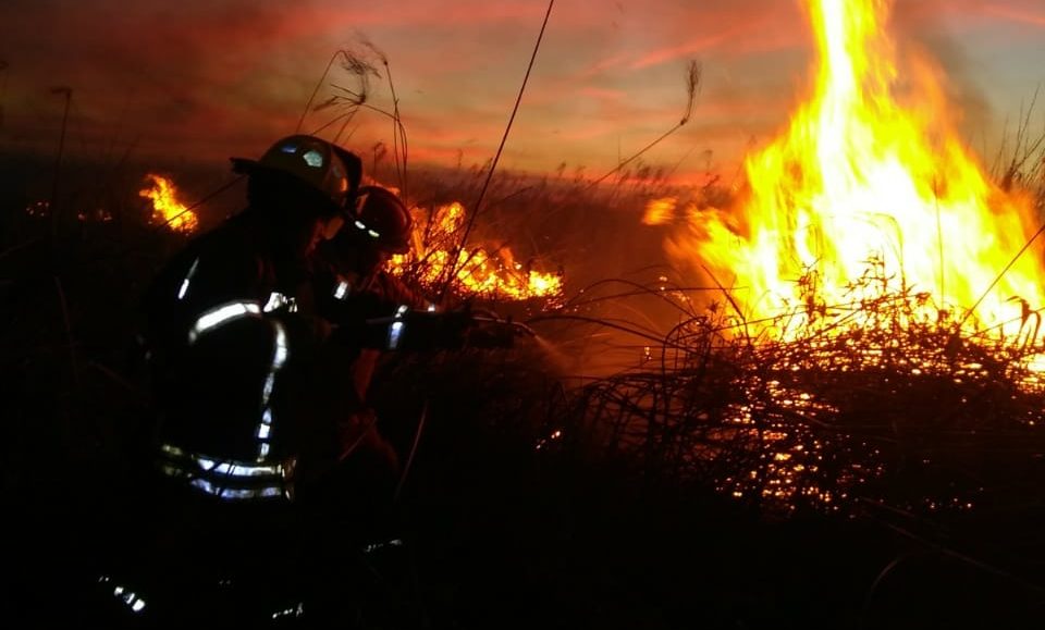 El Diario de San Pedro | Noticias locales y regionales