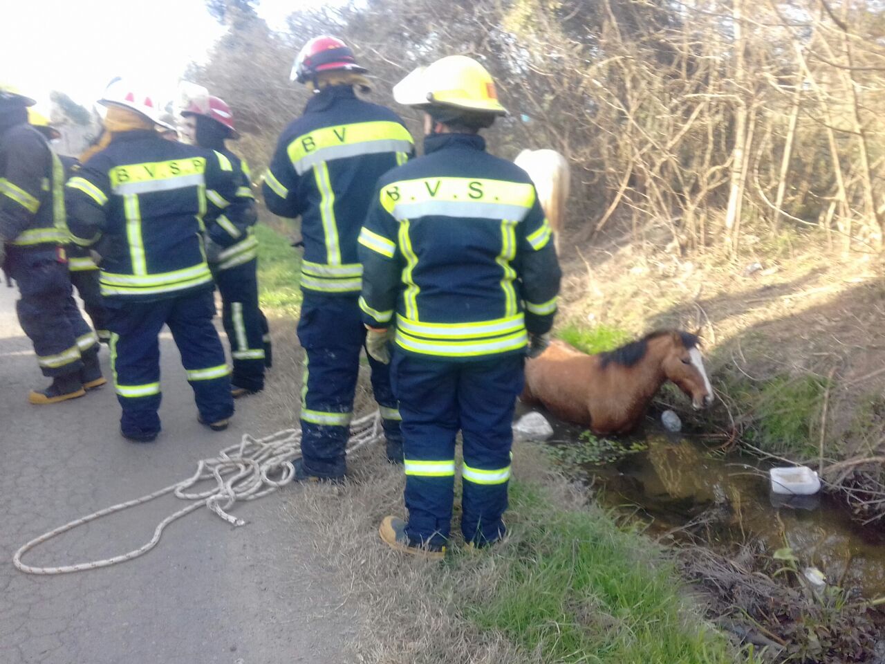 El Diario de San Pedro | Noticias locales y regionales