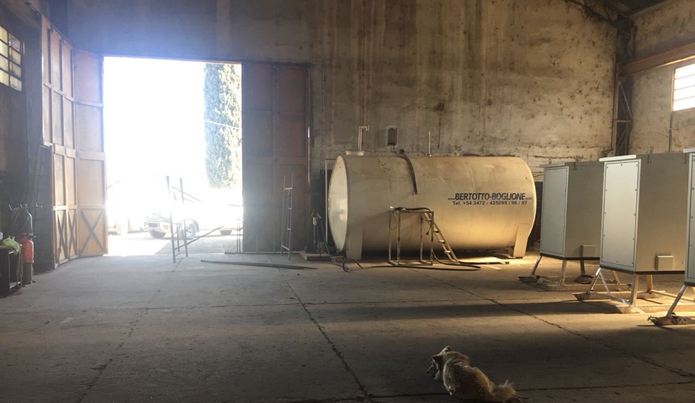 El Diario de San Pedro | Noticias locales y regionales