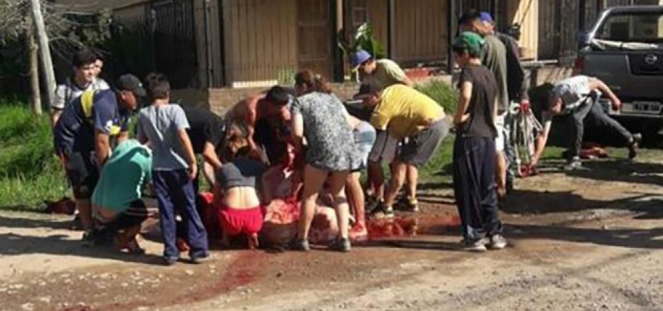 El Diario de San Pedro | Noticias locales y regionales