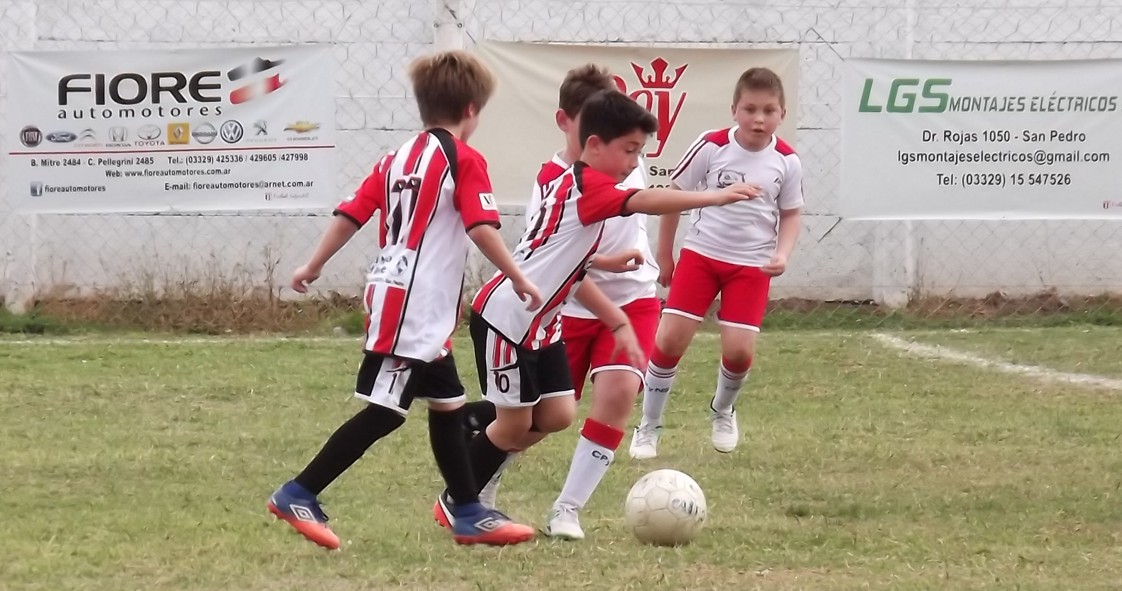 El Diario de San Pedro | Noticias locales y regionales