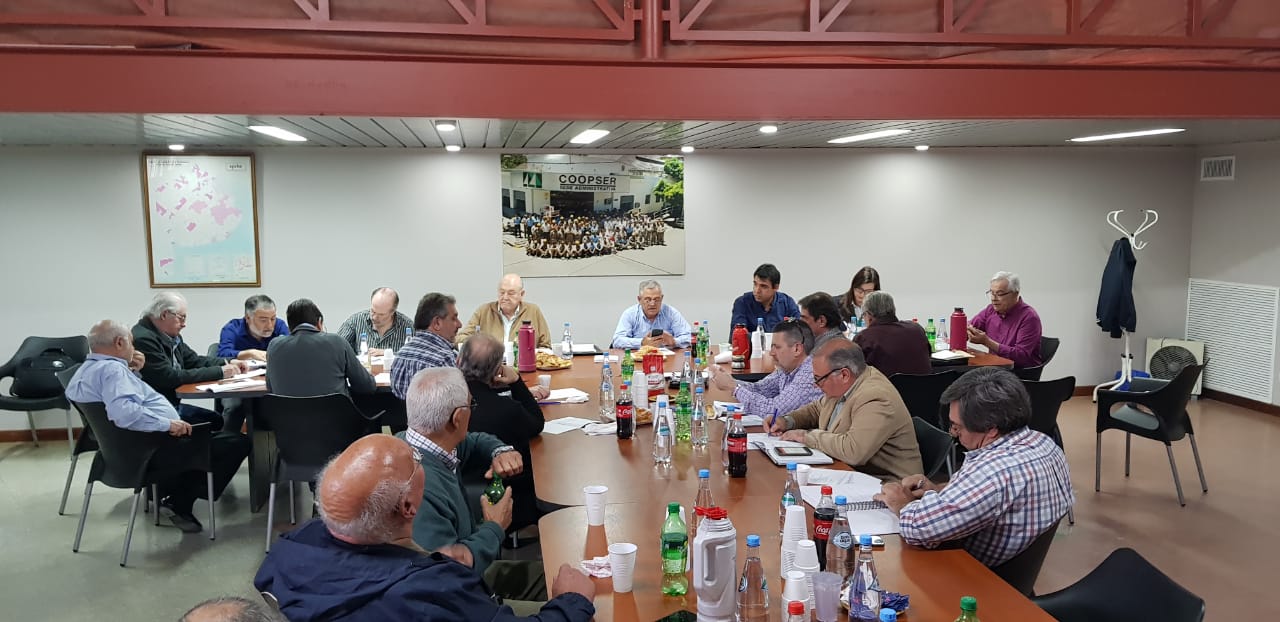 El Diario de San Pedro | Noticias locales y regionales