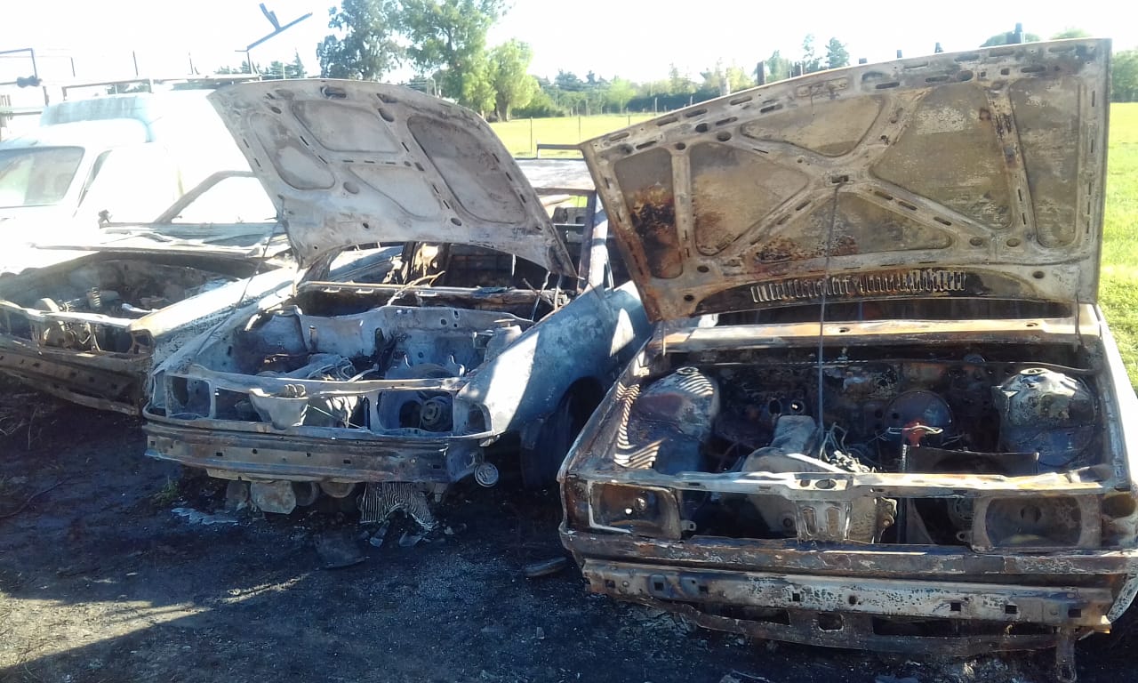 El Diario de San Pedro | Noticias locales y regionales