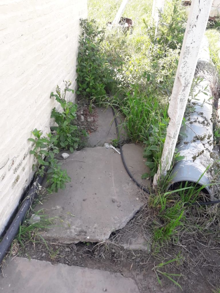 El Diario de San Pedro | Noticias locales y regionales