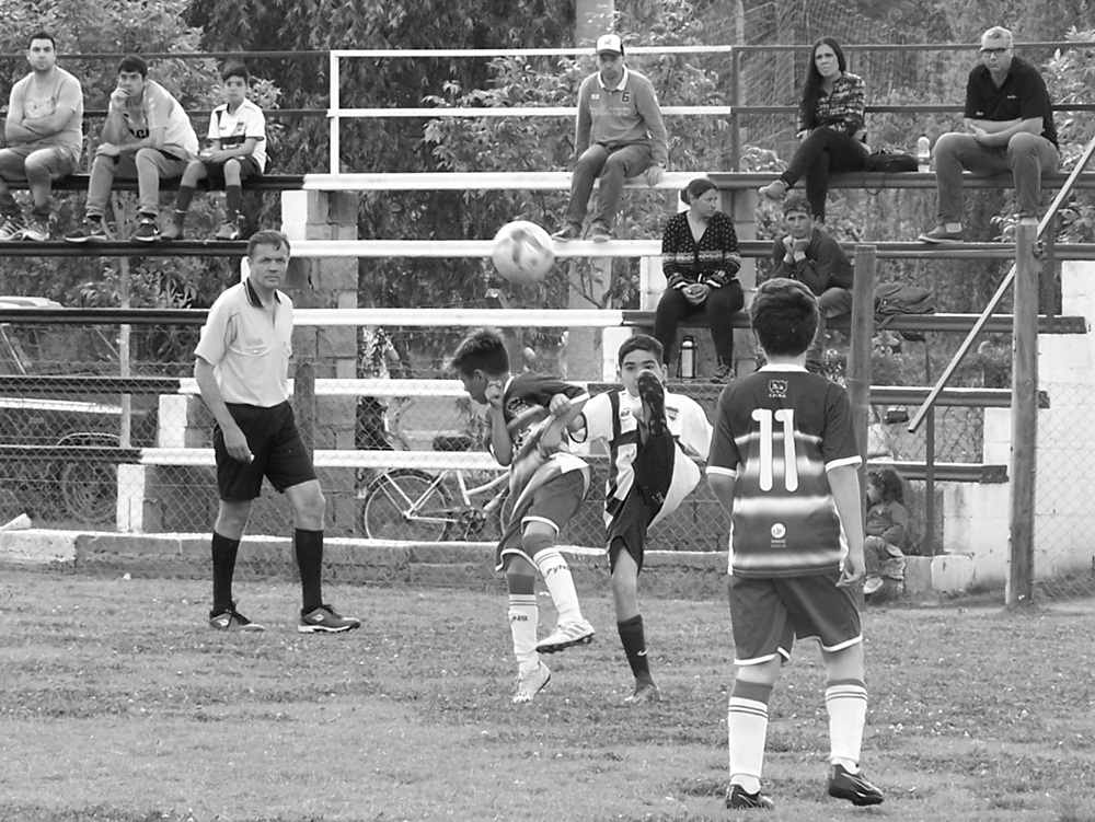 El Diario de San Pedro | Noticias locales y regionales