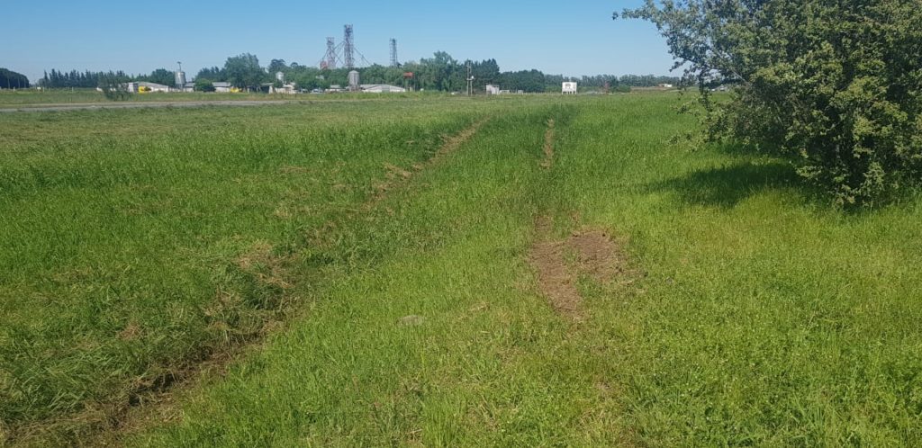 El Diario de San Pedro | Noticias locales y regionales