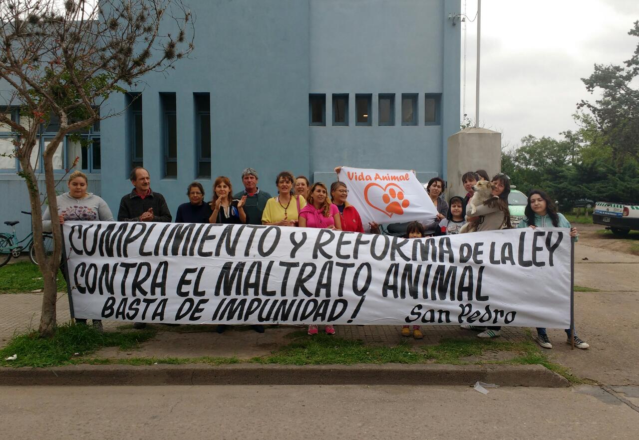 El Diario de San Pedro | Noticias locales y regionales