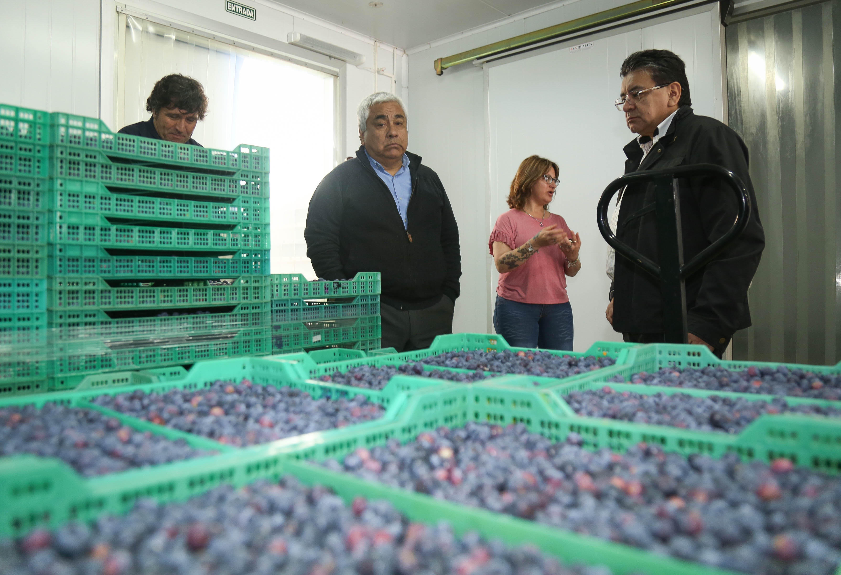 El Diario de San Pedro | Noticias locales y regionales