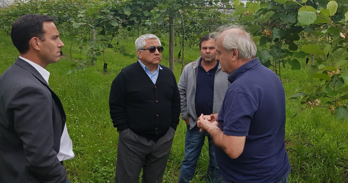 El Diario de San Pedro | Noticias locales y regionales