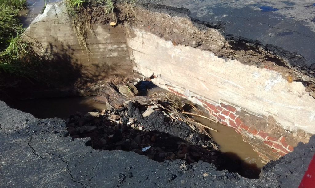 El Diario de San Pedro | Noticias locales y regionales