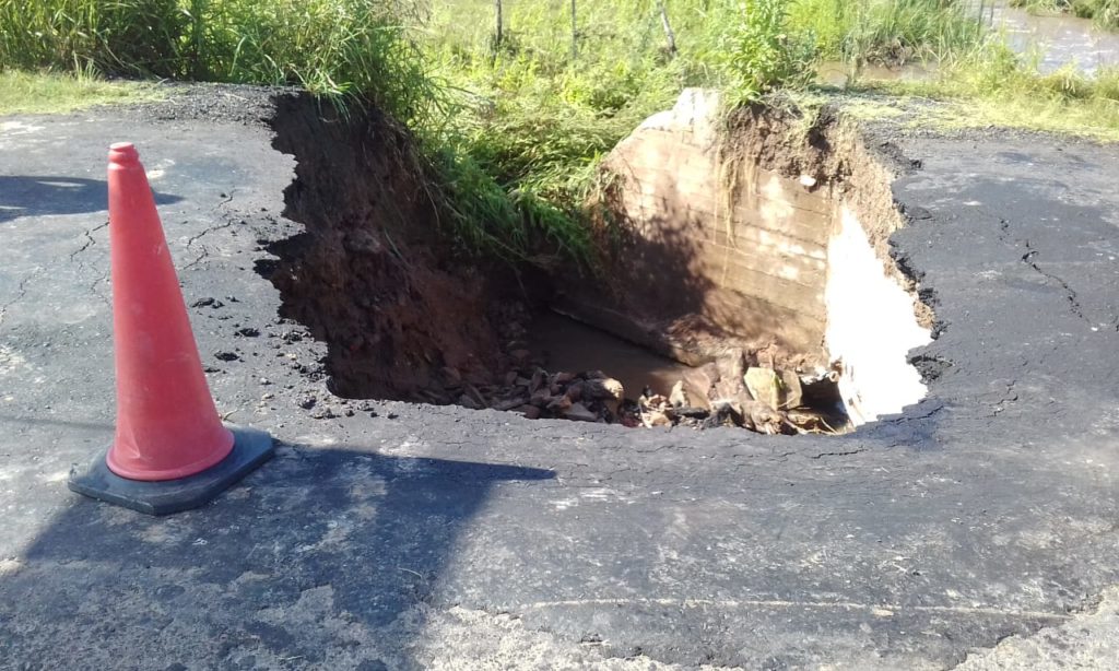 El Diario de San Pedro | Noticias locales y regionales