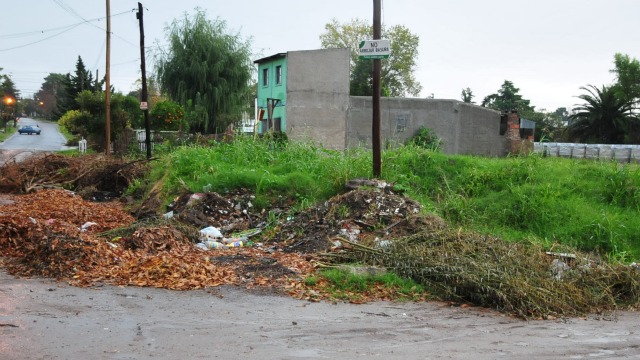 El Diario de San Pedro | Noticias locales y regionales