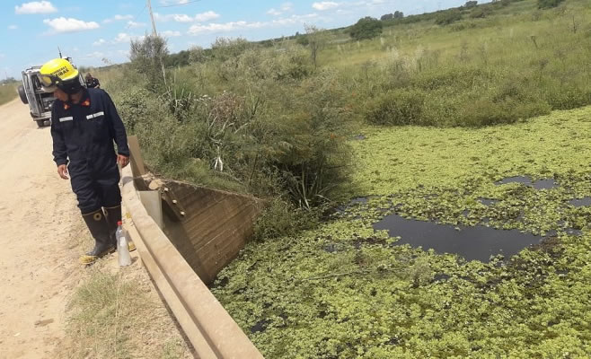 El Diario de San Pedro | Noticias locales y regionales