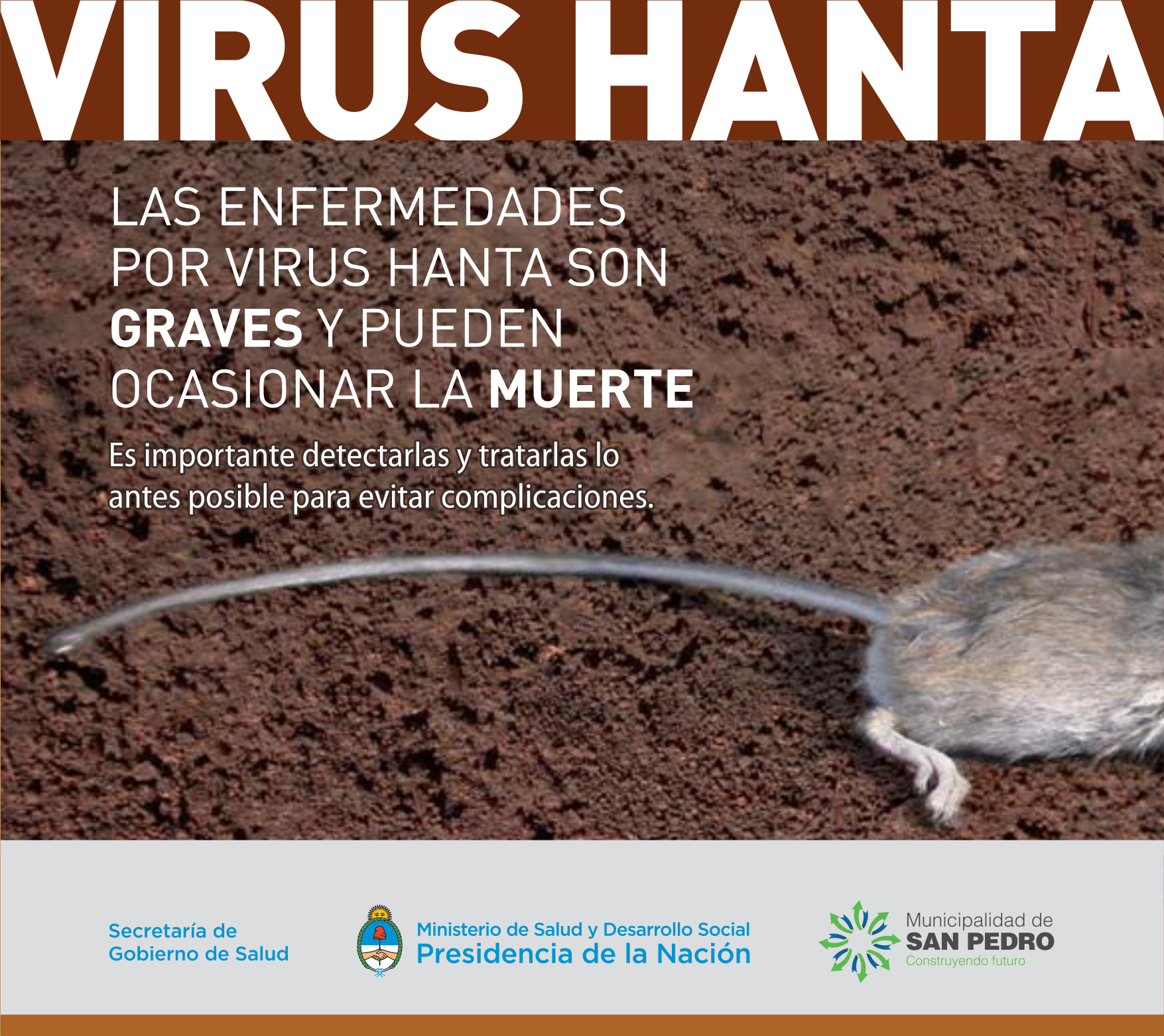 El Diario de San Pedro | Noticias locales y regionales