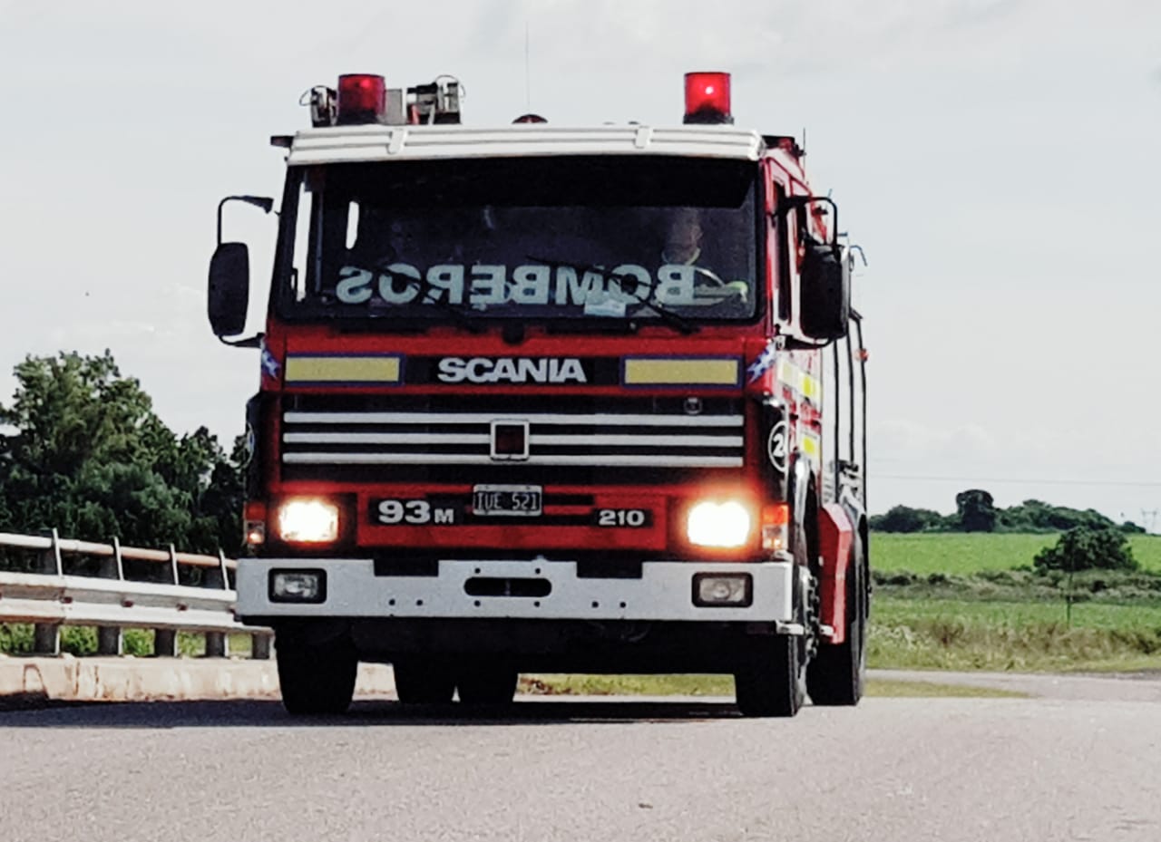 El Diario de San Pedro | Noticias locales y regionales