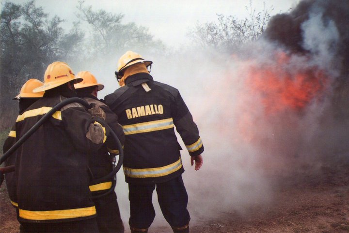 El Diario de San Pedro | Noticias locales y regionales