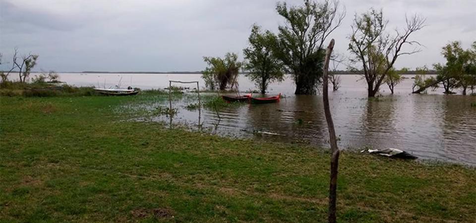 El Diario de San Pedro | Noticias locales y regionales