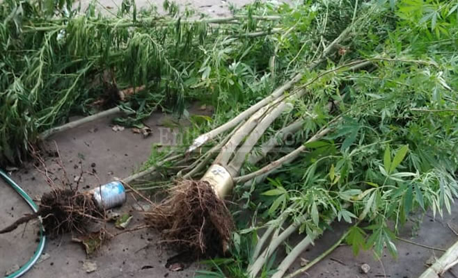 El Diario de San Pedro | Noticias locales y regionales