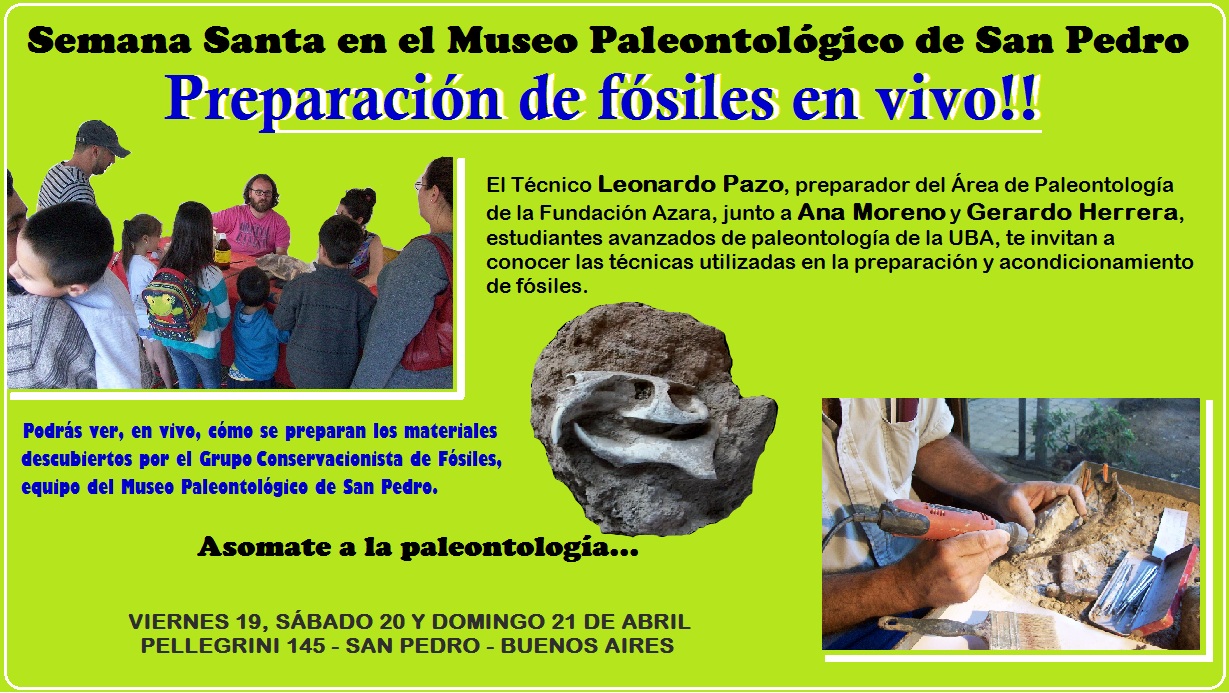 El Diario de San Pedro | Noticias locales y regionales