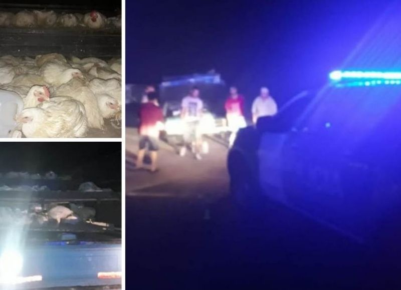 El Diario de San Pedro | Noticias locales y regionales