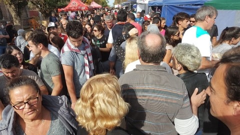 El Diario de San Pedro | Noticias locales y regionales