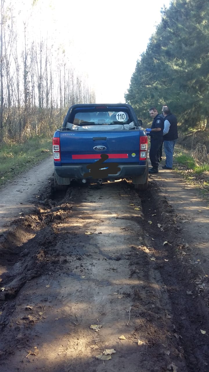 El Diario de San Pedro | Noticias locales y regionales