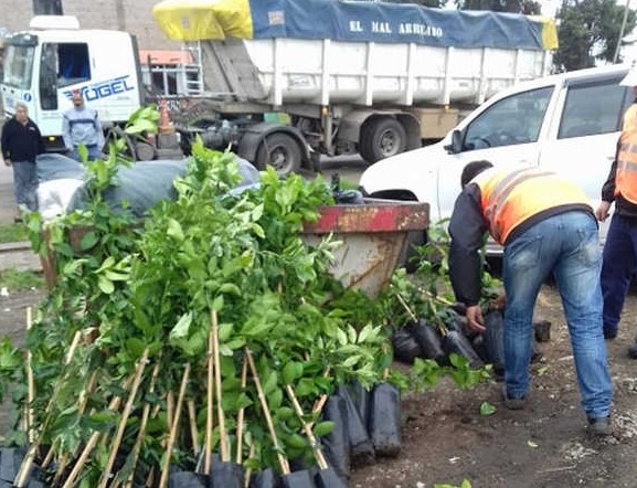 El Diario de San Pedro | Noticias locales y regionales