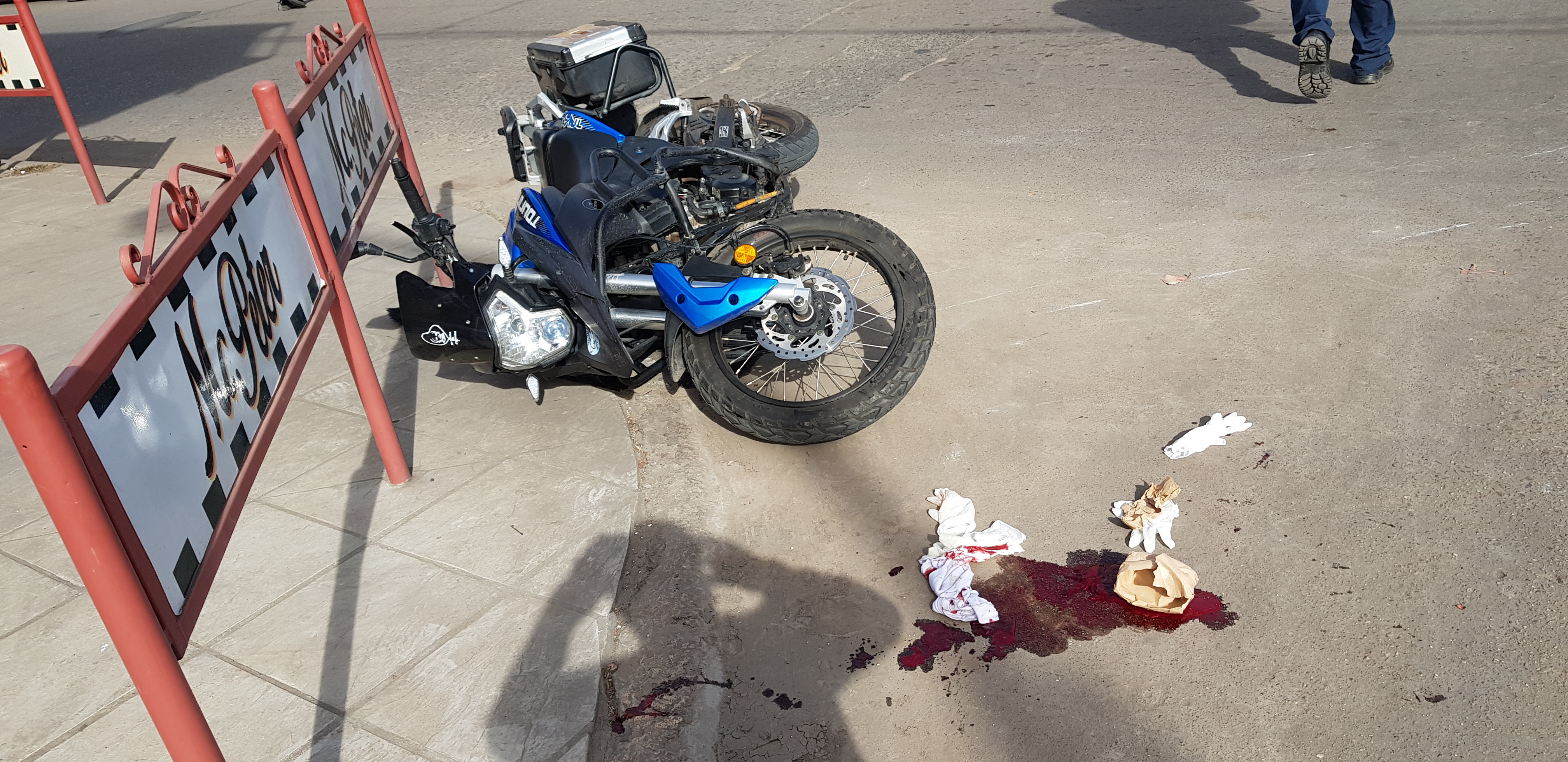 El Diario de San Pedro | Noticias locales y regionales