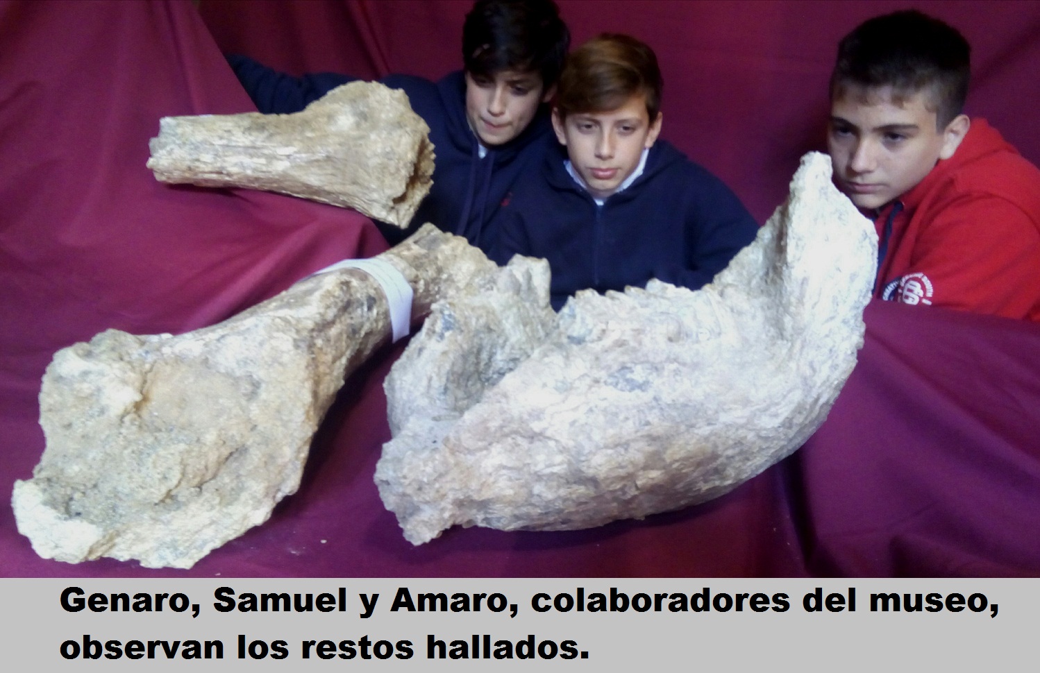 El Diario de San Pedro | Noticias locales y regionales