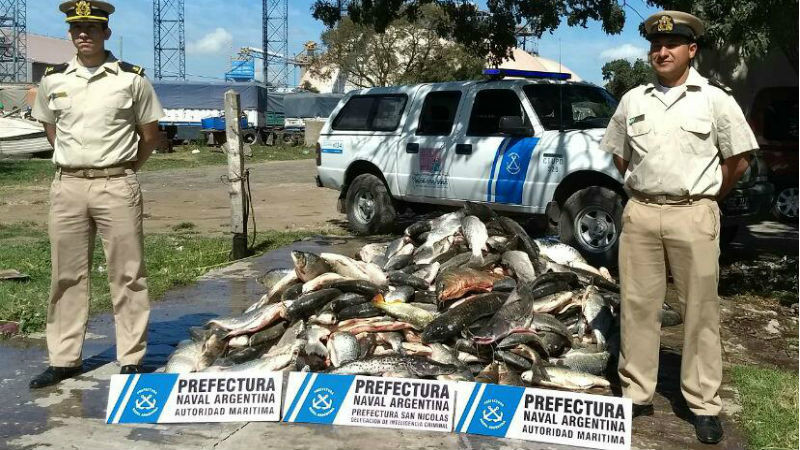 El Diario de San Pedro | Noticias locales y regionales