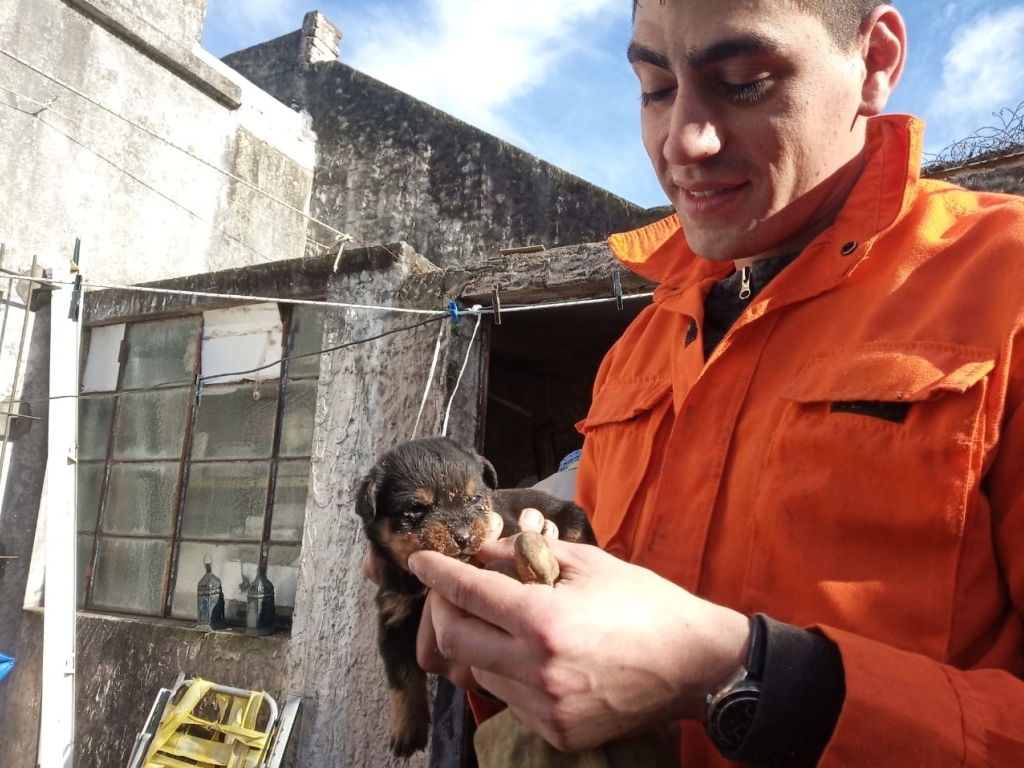 El Diario de San Pedro | Noticias locales y regionales