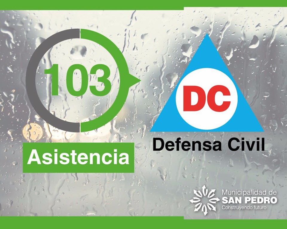 El Diario de San Pedro | Noticias locales y regionales