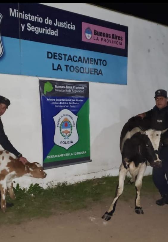 El Diario de San Pedro | Noticias locales y regionales