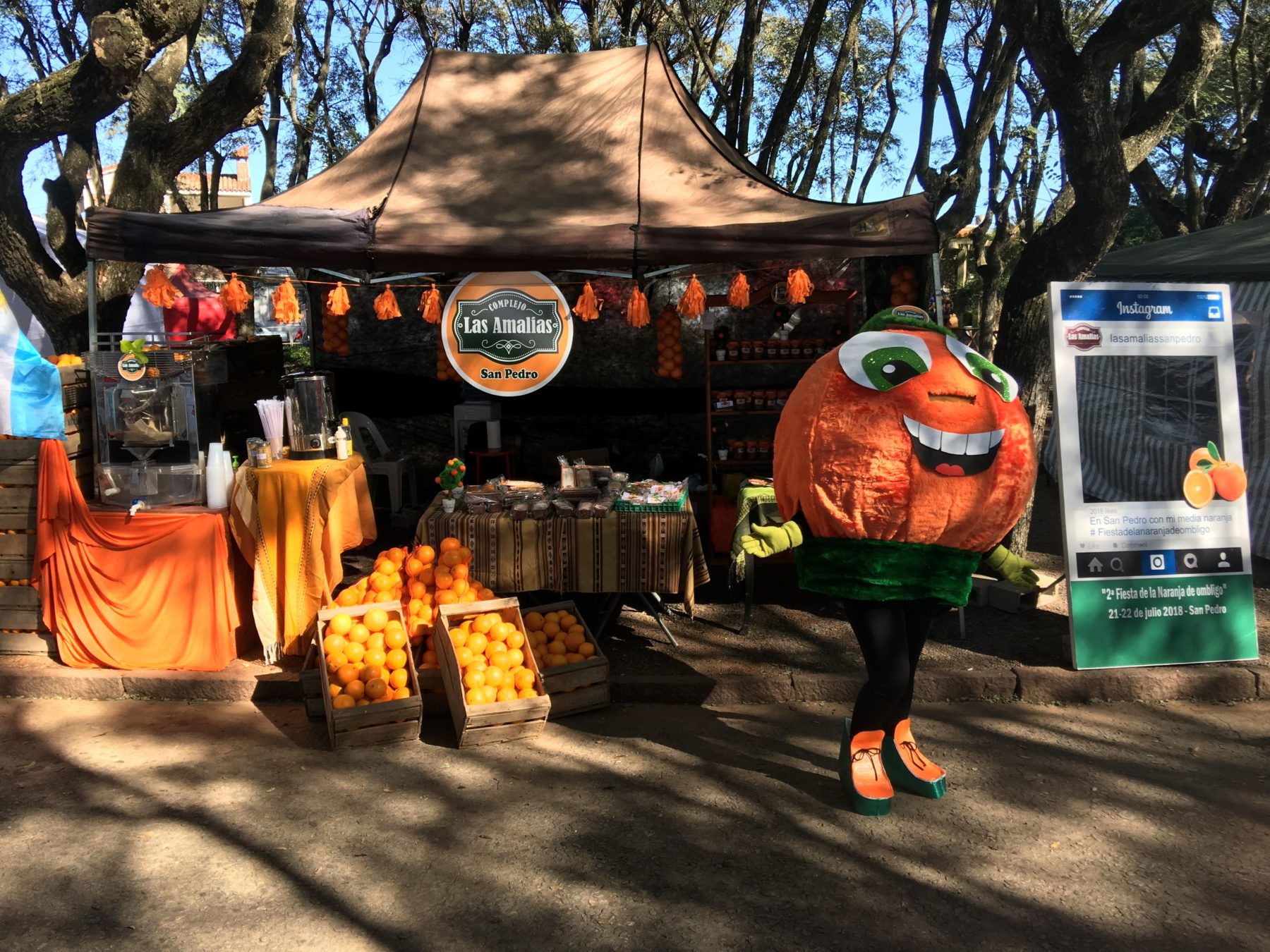 El Diario de San Pedro | Noticias locales y regionales