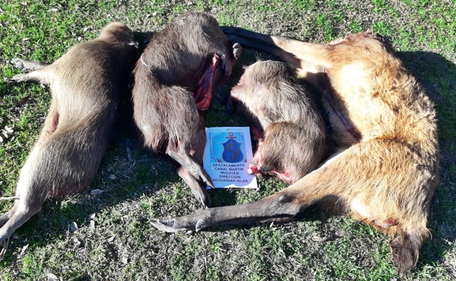 El Diario de San Pedro | Noticias locales y regionales