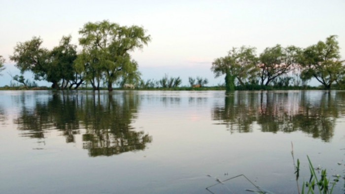 El Diario de San Pedro | Noticias locales y regionales