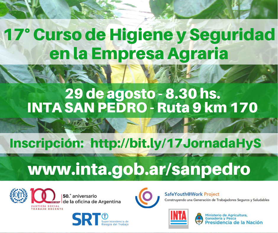 El Diario de San Pedro | Noticias locales y regionales