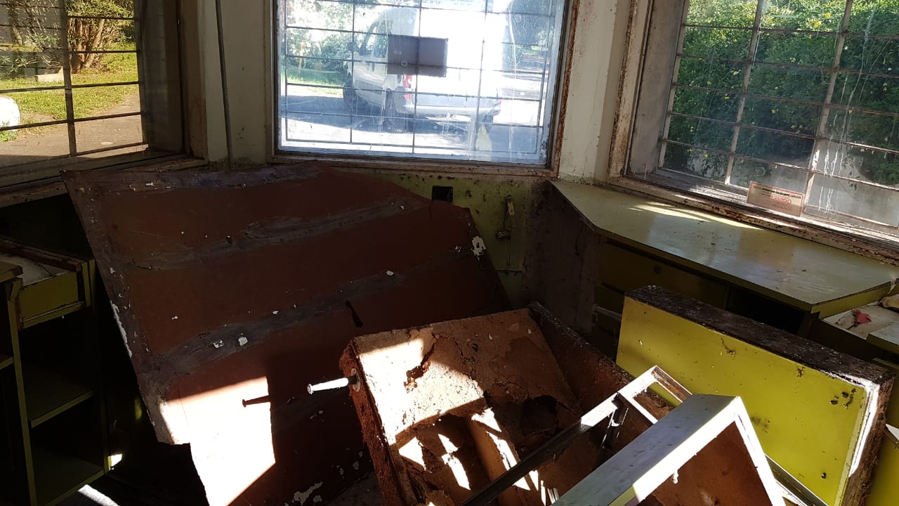 El Diario de San Pedro | Noticias locales y regionales