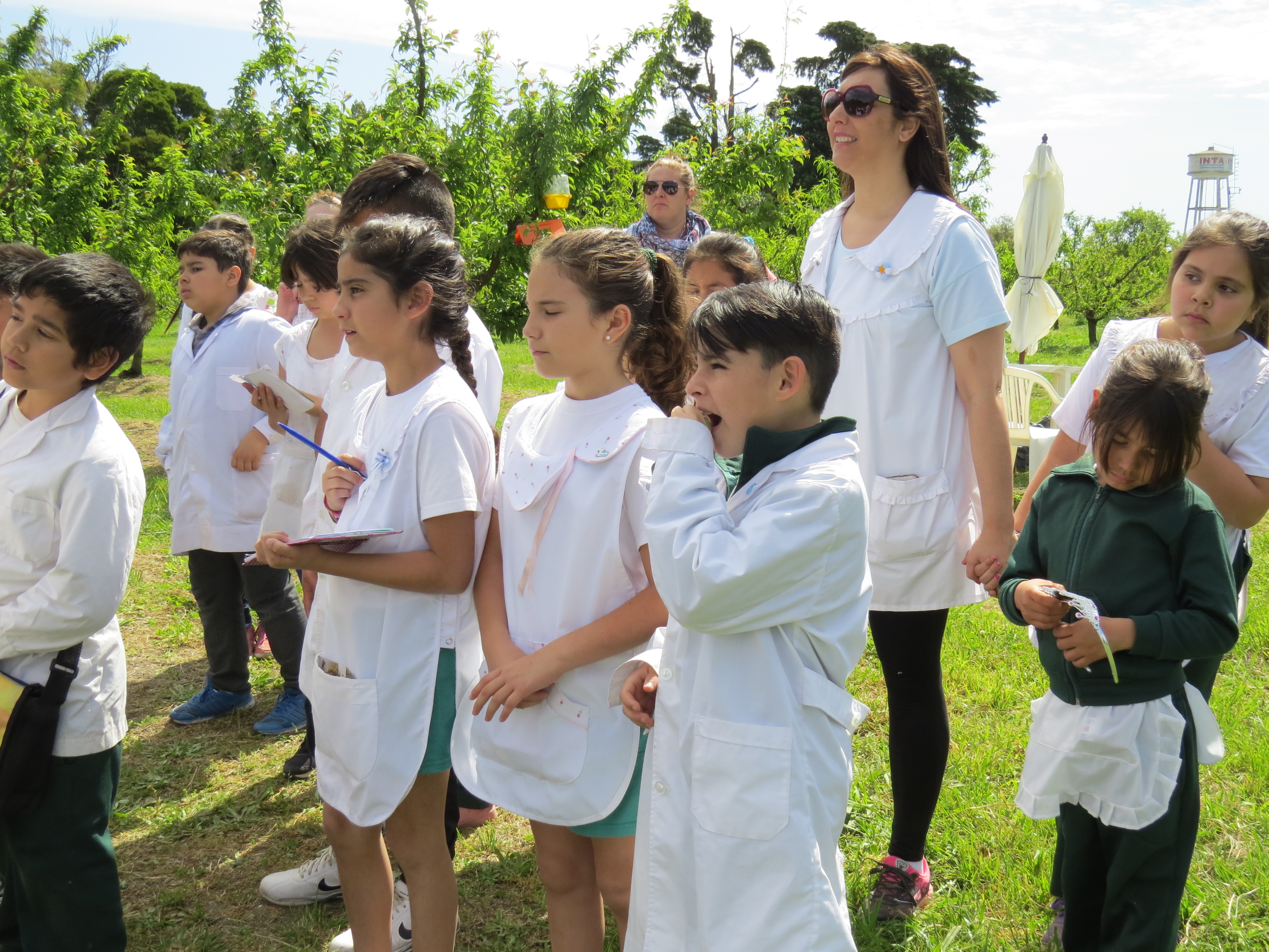 El Diario de San Pedro | Noticias locales y regionales