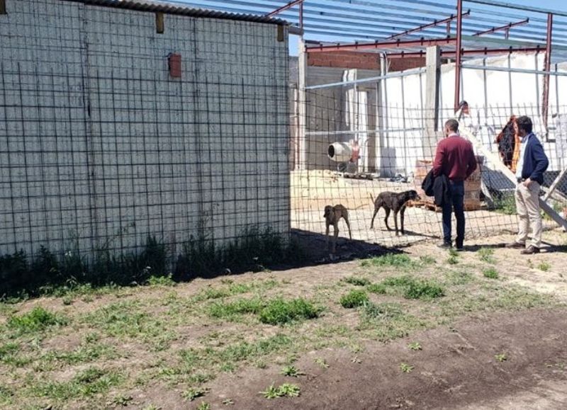 El Diario de San Pedro | Noticias locales y regionales