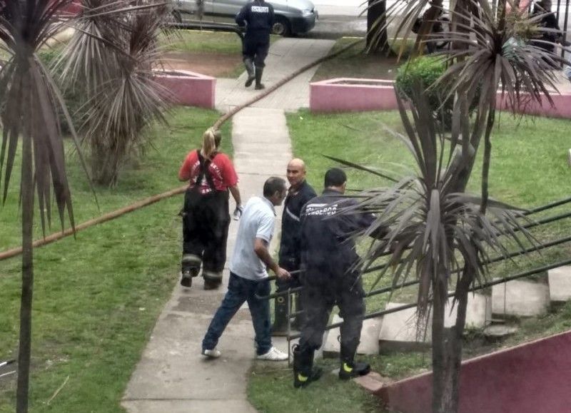 El Diario de San Pedro | Noticias locales y regionales