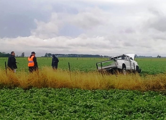 El Diario de San Pedro | Noticias locales y regionales